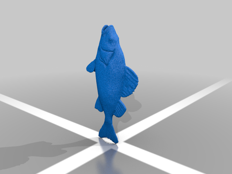 Perch Fish