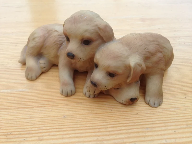 Puppies