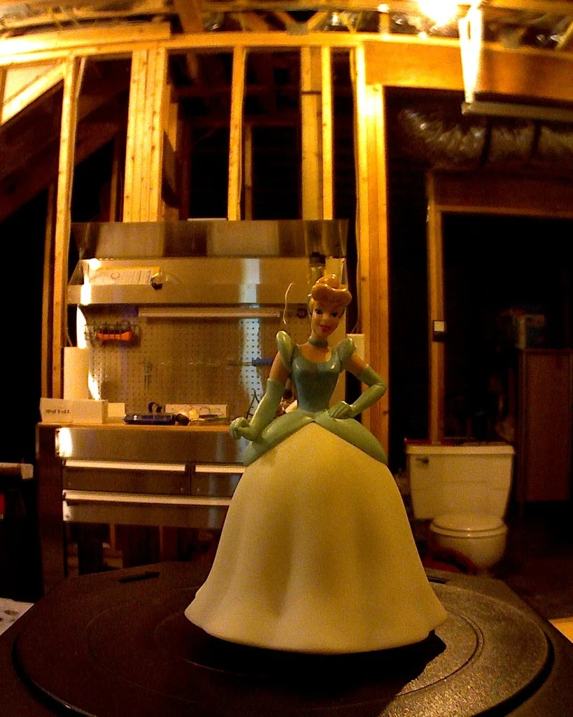Cinderella Multiscan
