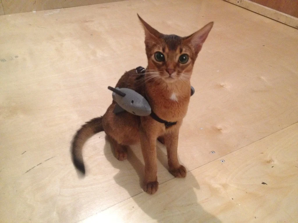 Battle Kitten Ayumi