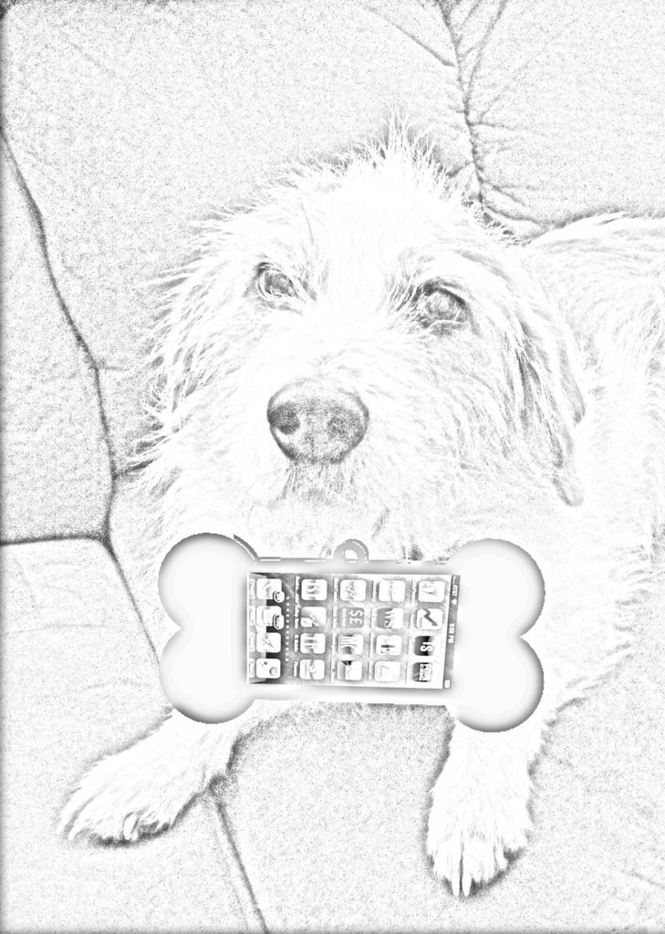 iWoof: An iphone-holder for your dog