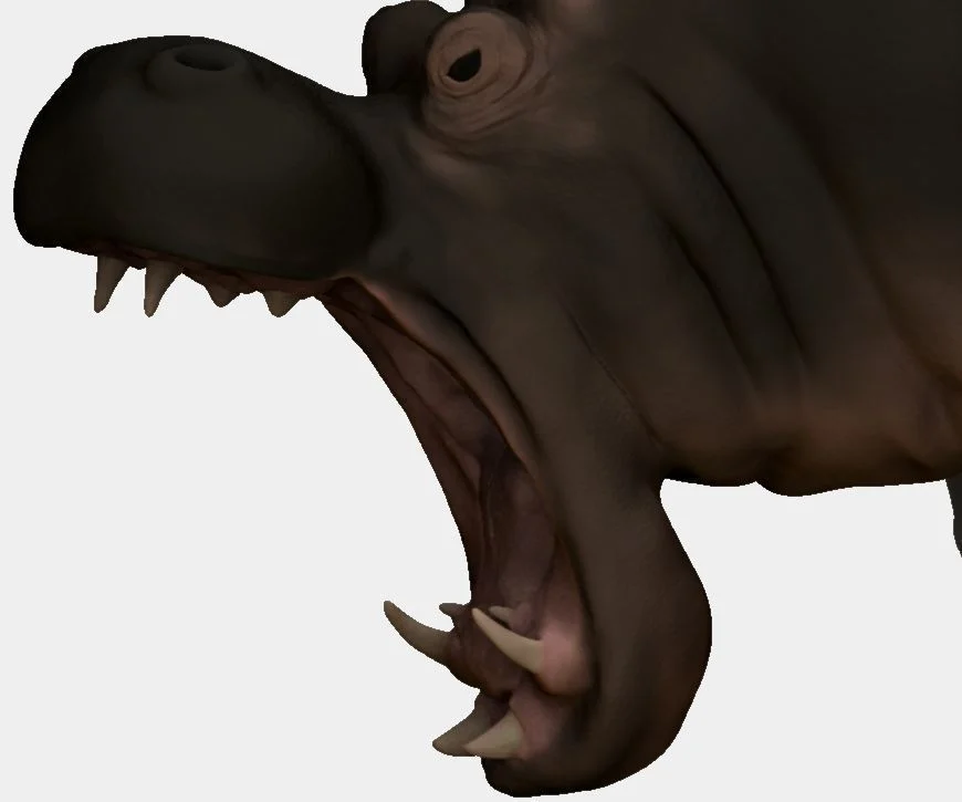 Hippo (made in Zbrush)