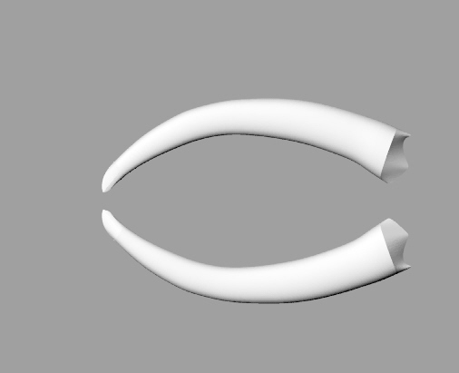 Therizinosaurus Claw 1 meter, 2 halves