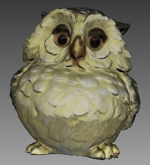 Owl