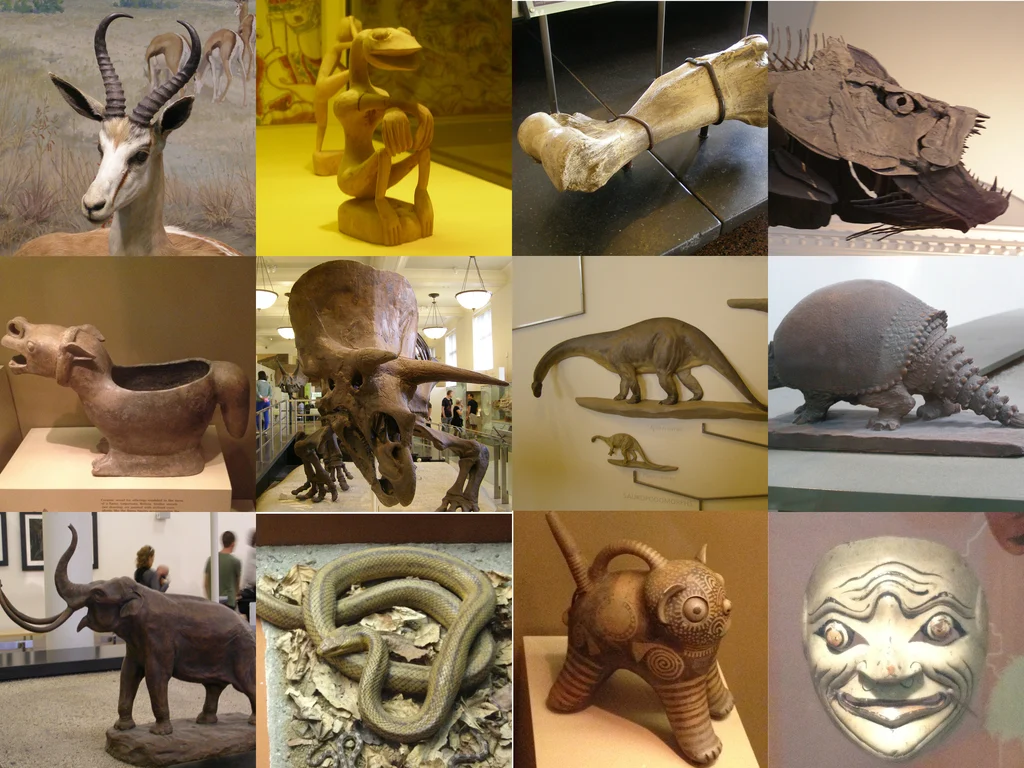 Unprocessed American Museum of Natural History Scans