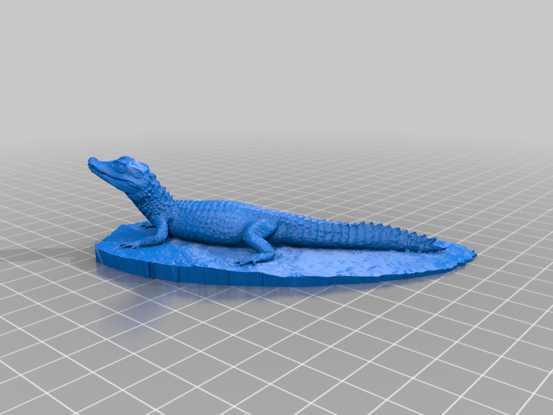 Crocodile – Cuvier's Dwarf Caiman
