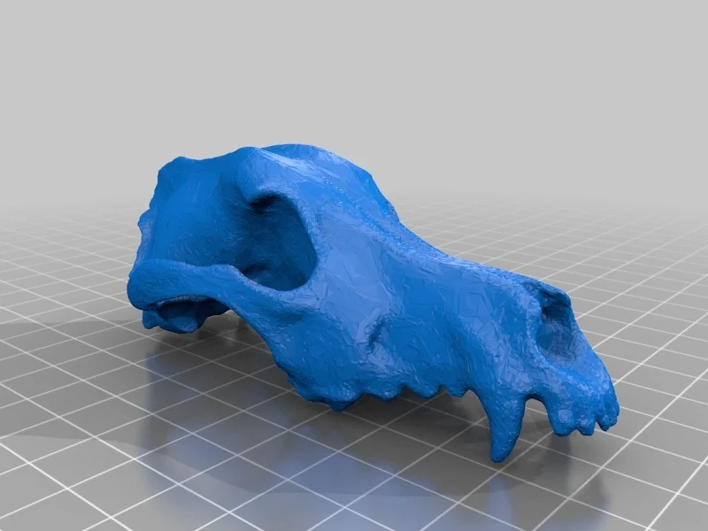 Lower Poly Dog Skull I'm Pretending is a Space Wolf Skull for Warhammer 40k