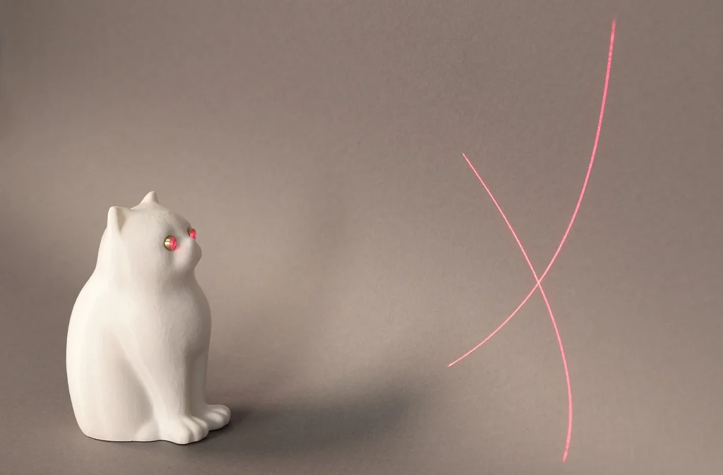 Laser Kitty