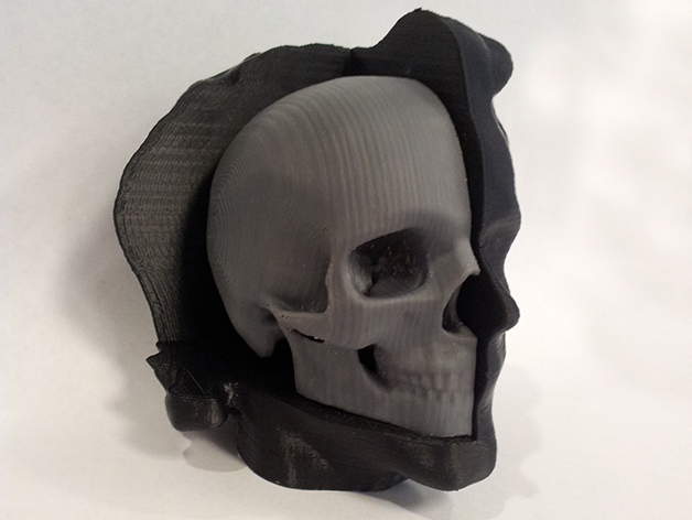 Head with Cut-Away Skull
