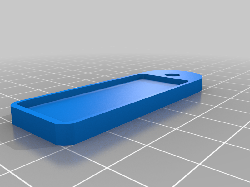 Blank luggage tag
