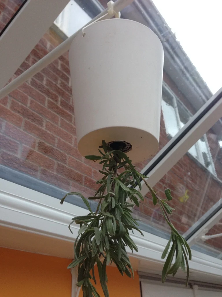 Soil retaining mesh grill for upside-down planter