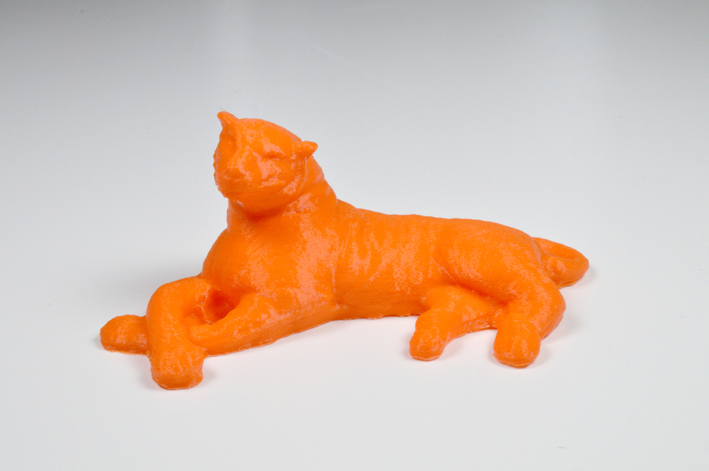 The Family's Tiger, 3D Scan