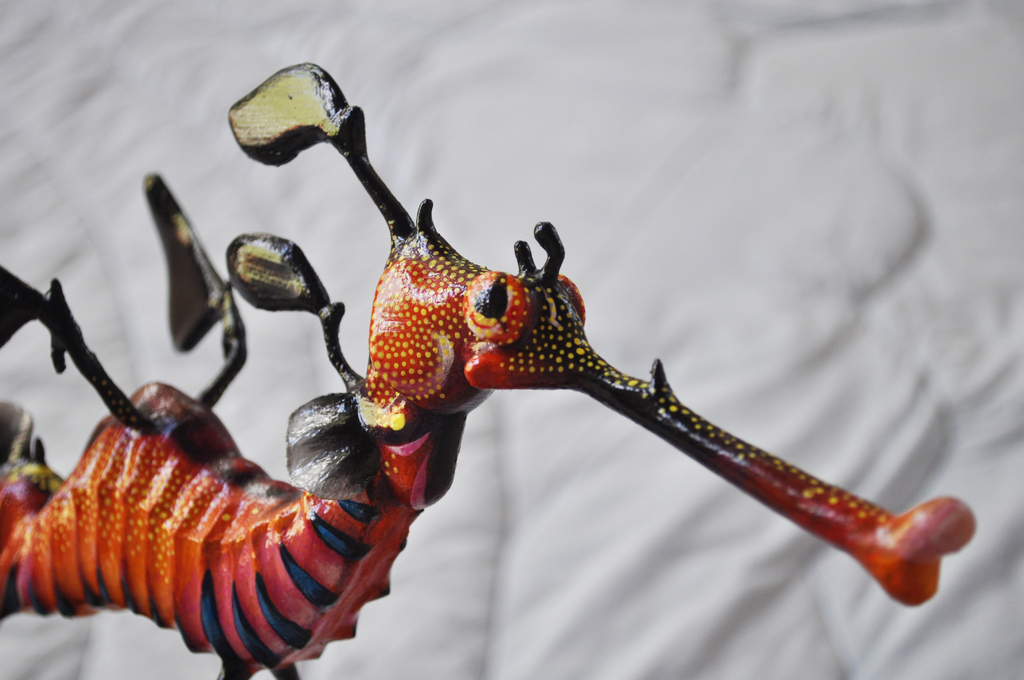 Leafy Seadragon