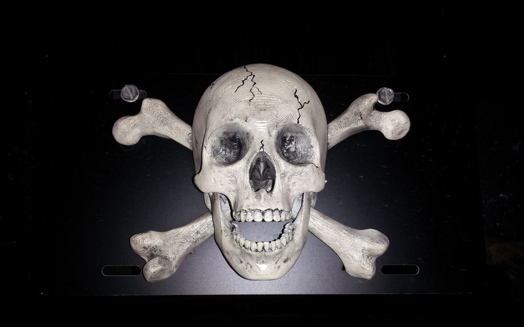 Jolly Roger Wall decoration