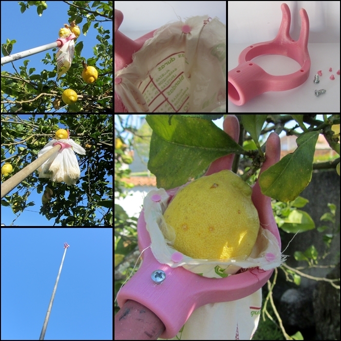 Fruit picker
