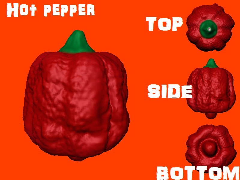 Hot pepper