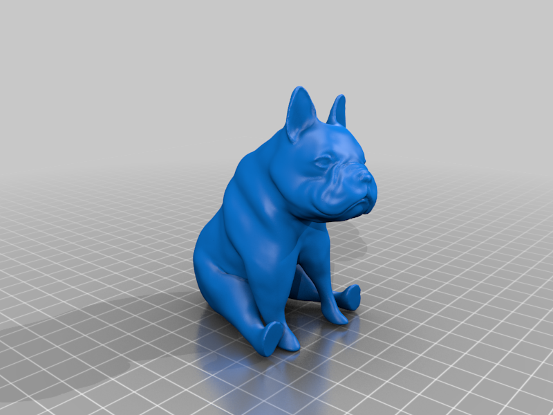 French Bulldog
