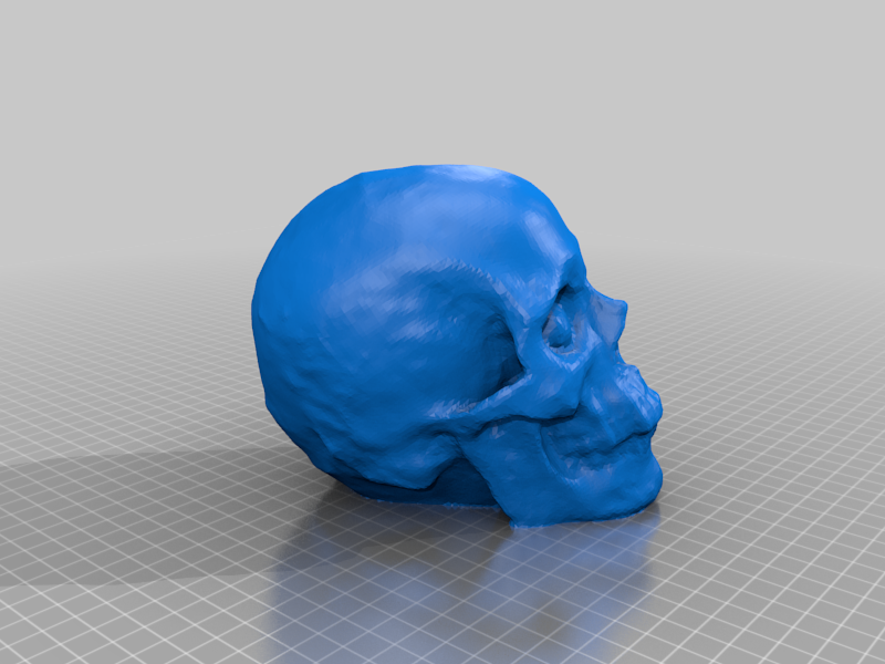 photogrammetry created skull - openMVG, openMVS, MeshLab, MeshMixer