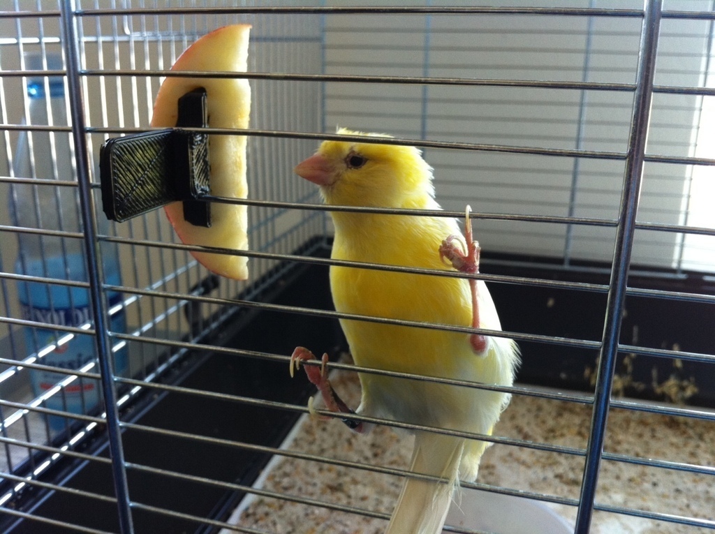 Apple Skewer for Birdcages 1.0