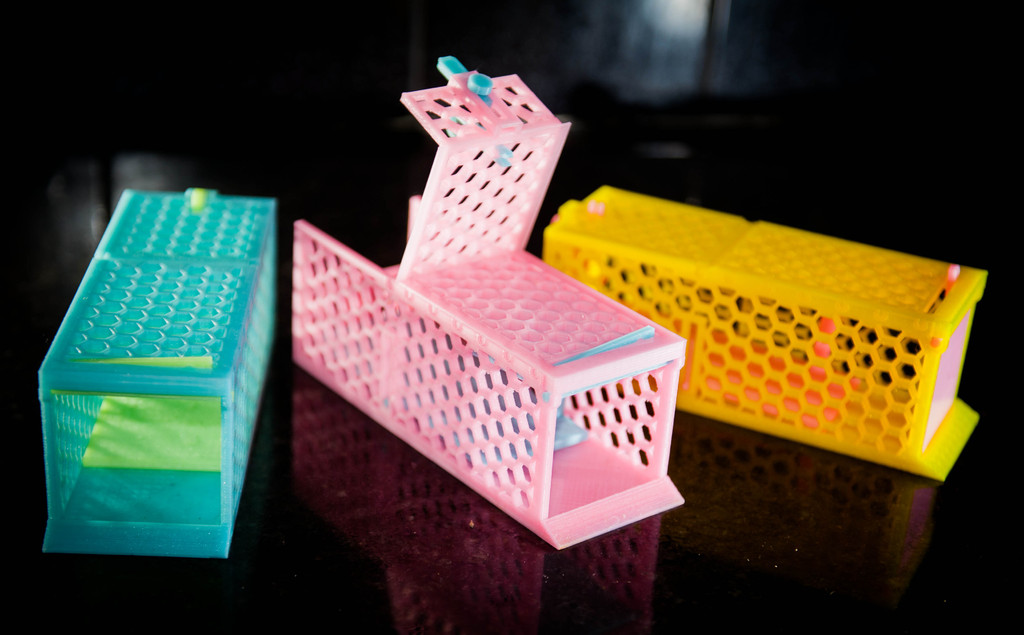 Friendly mousetrap, fully printable