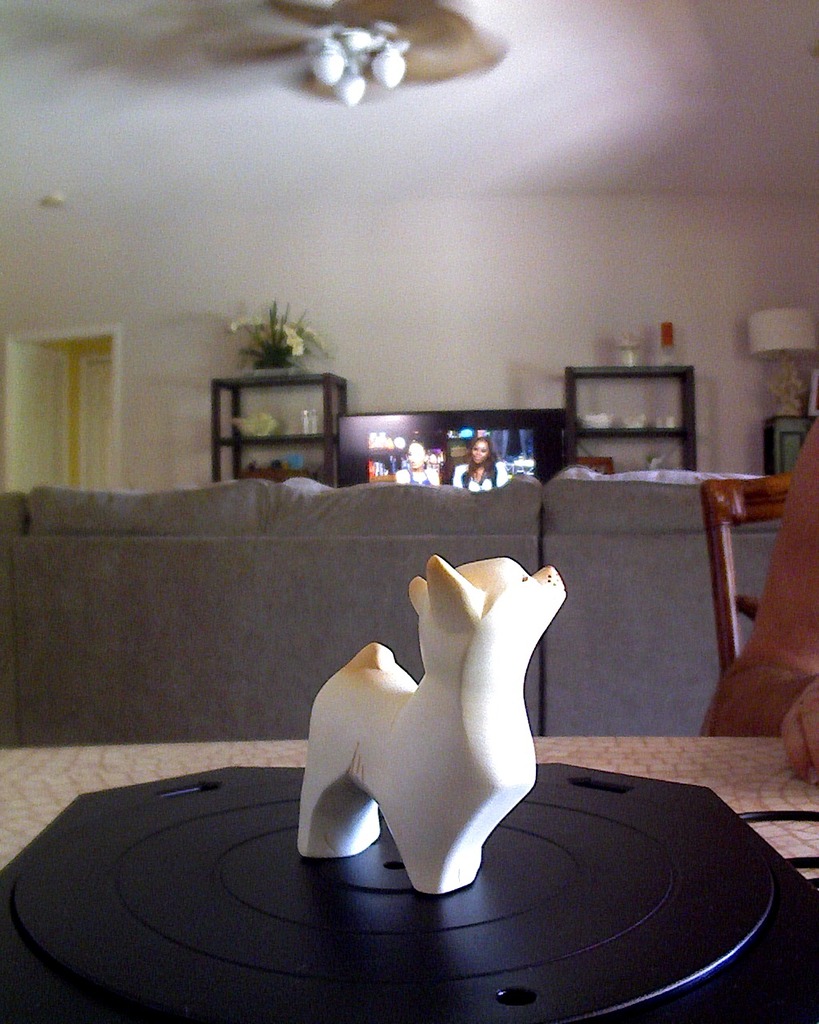 Dog Statue First Scan