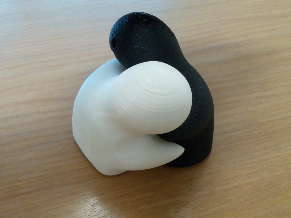 Cuddling Salt and Pepper Pots