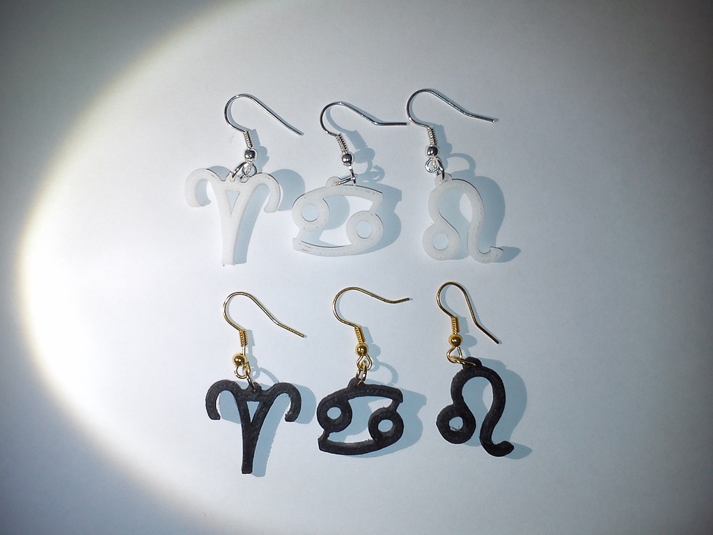 Zodiac Signs Earrings