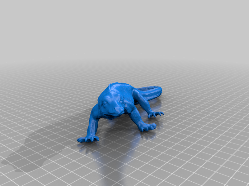 Komodo Dragon