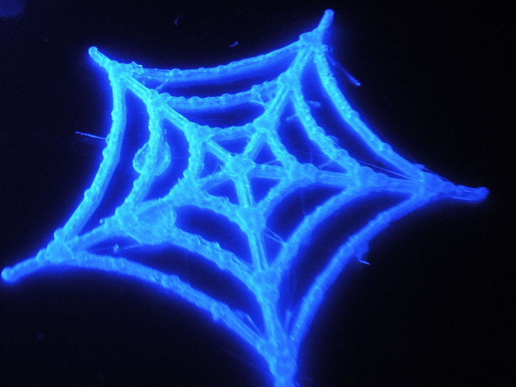 Parametric Spider Web