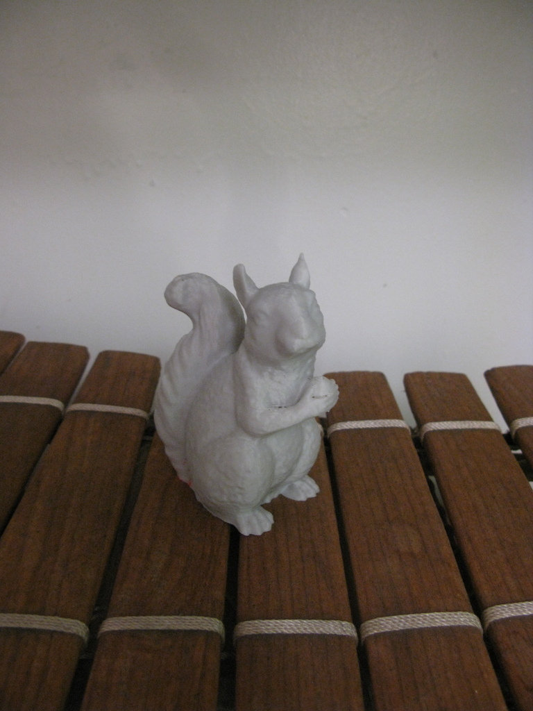 Squirrel Guardian