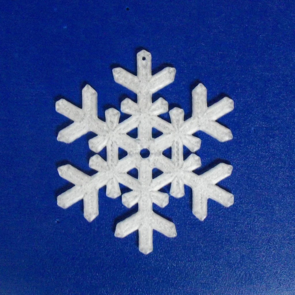 Snow Flake 016