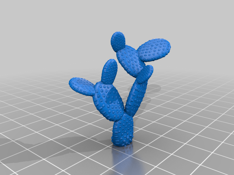 Weird Cactus