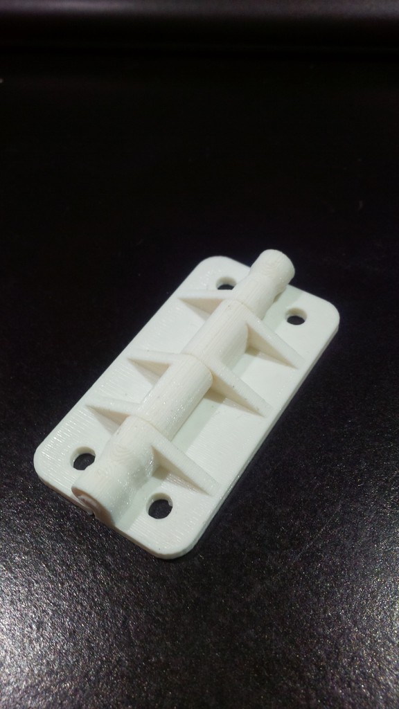 igloo hinge
