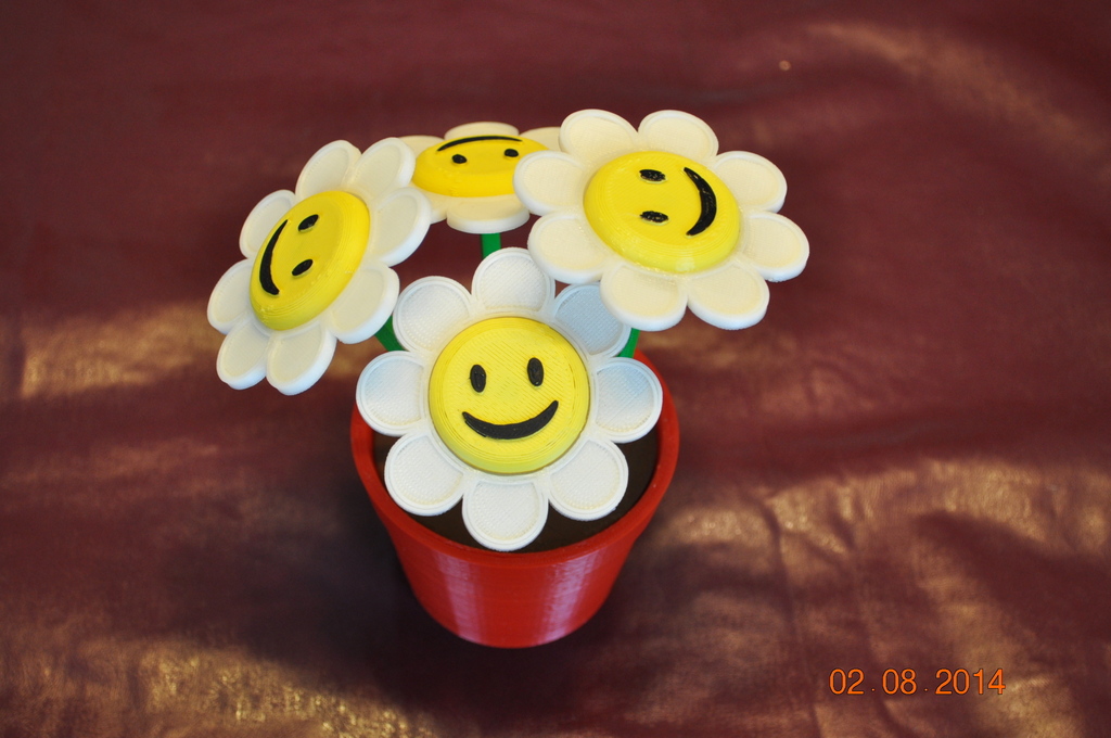 Smiley Face Flowers and Flower Pot