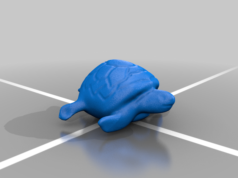 Loggerhead Turtle