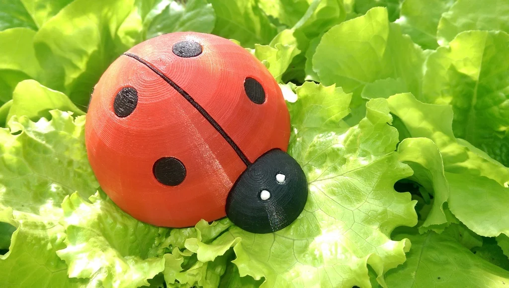 The Cute LadyBug!