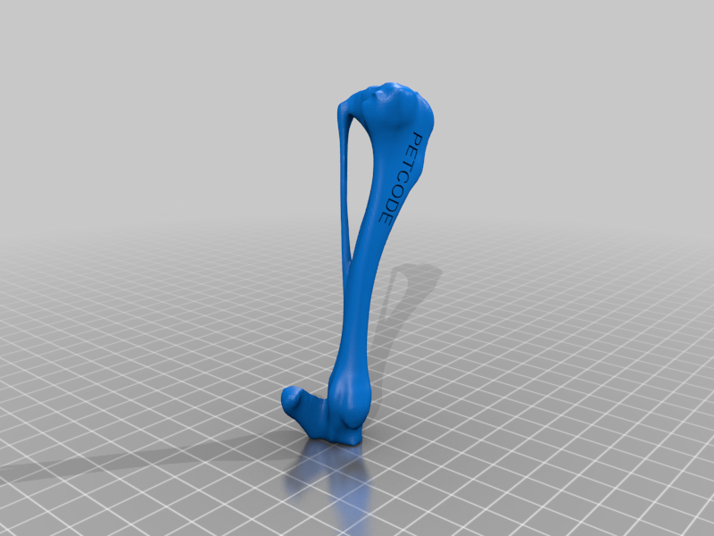 Dog tibia
