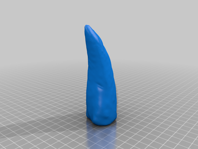 Tyrannosaurus Rex Tooth