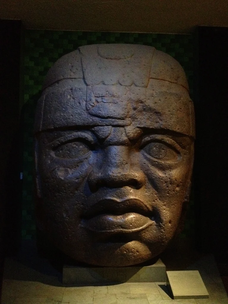 Olmec Colossal Head