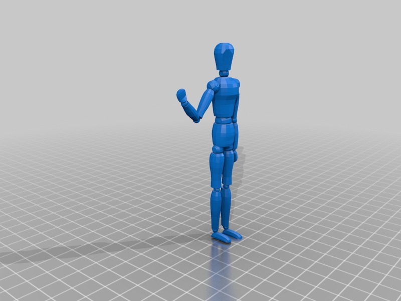 Posing Mannequin