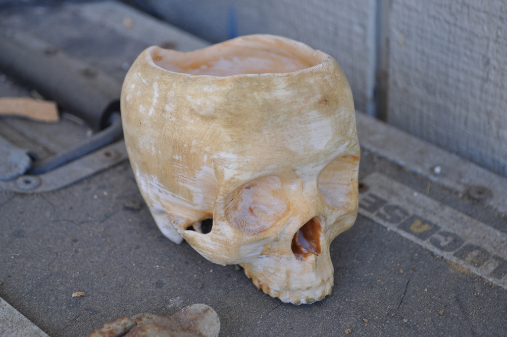Skull Bowl