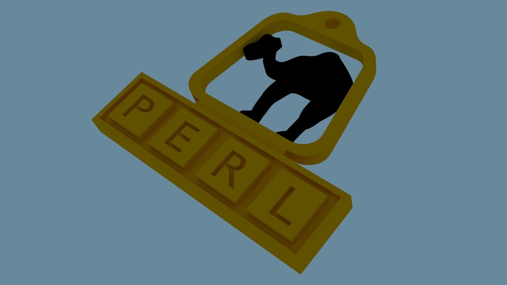 PERL programming conference gadget
