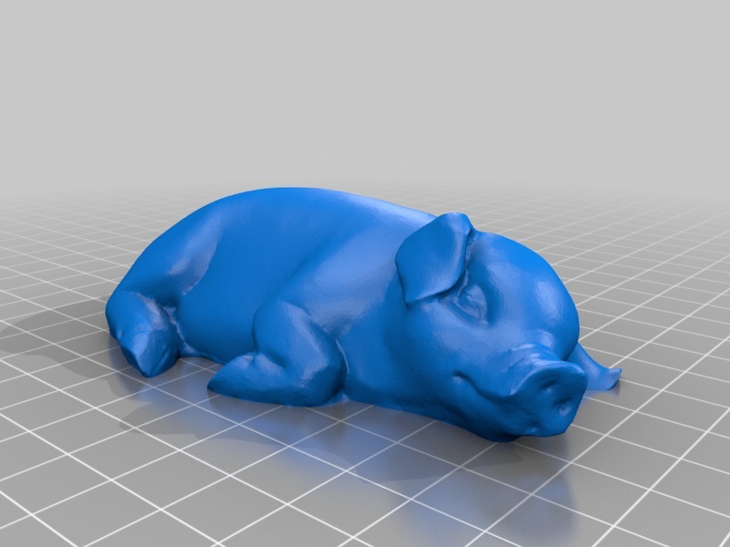 Sleeping Pig