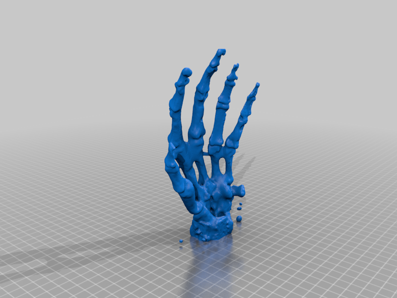 hand_wrist