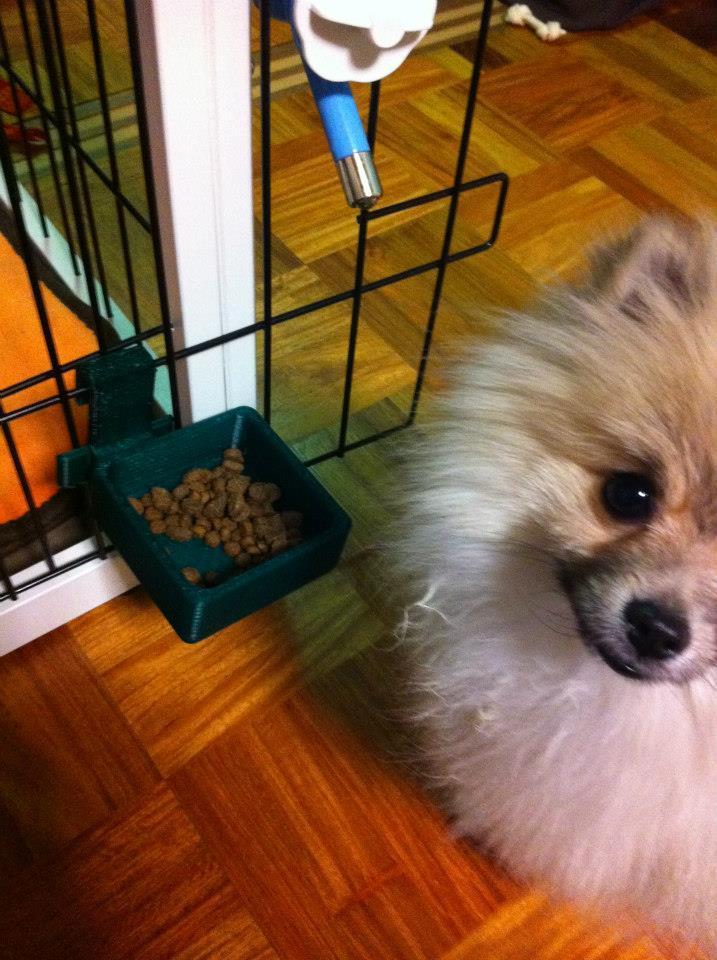 Hanging dog food bowl