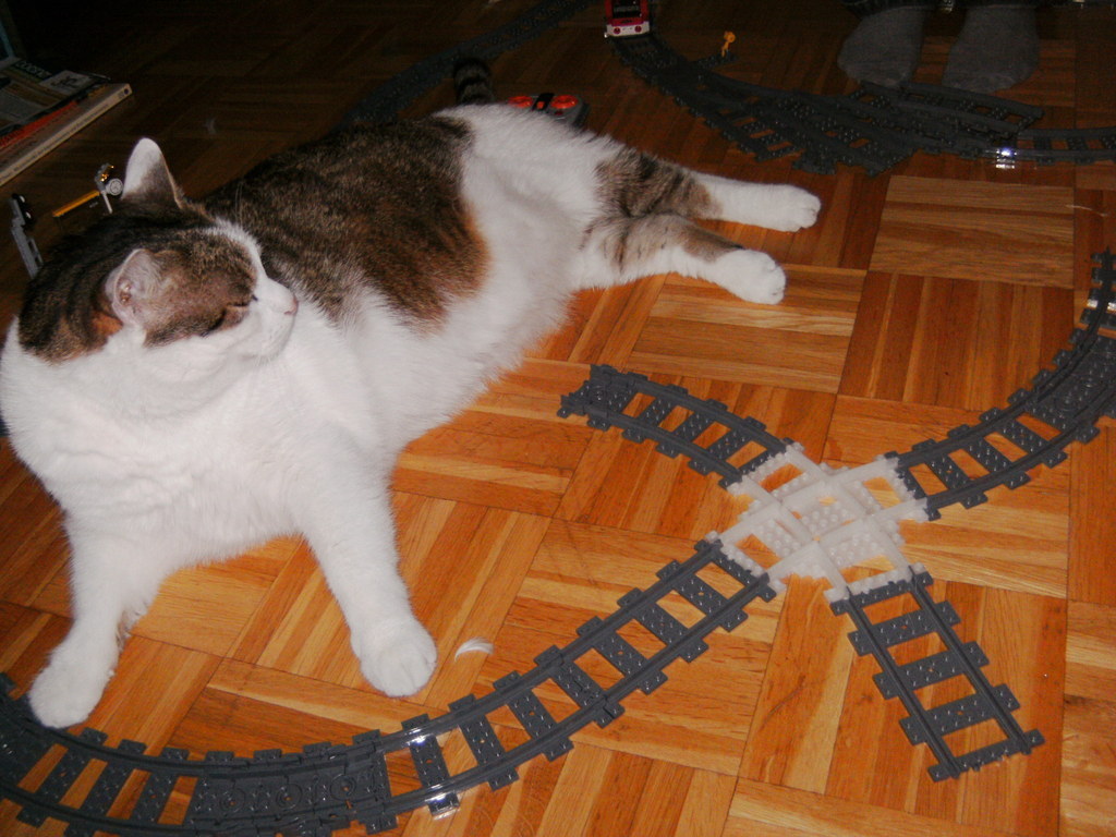 Crossing Train Curves