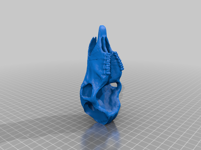 Ram Skull Repaired