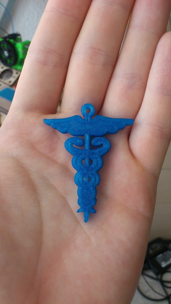 Caduceus Key Fob