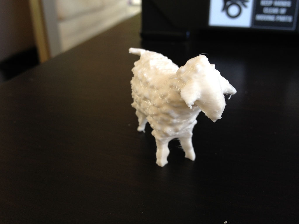 Sheep