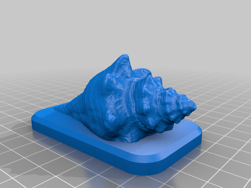 Seashell